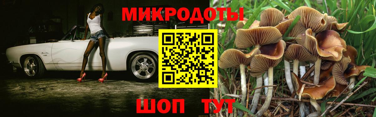Ставрополь  Псилоцибиновые грибы ЛСД  Псилоцибиновые грибы MAGIC MUSHROOMS  Вход с VPN 
